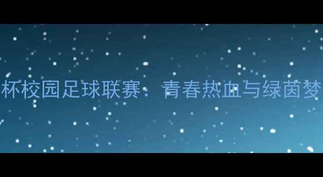 图片 林肯大学星火杯校园足球联赛：青春热血与绿茵梦想的完美碰撞