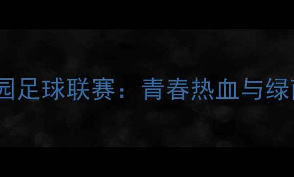 图片 林肯大学星火杯校园足球联赛：青春热血与绿茵梦想的完美碰撞2