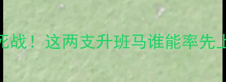 图片 桑德兰VS考文垂：英超保级生死战！这两支升班马谁能率先上岸？关键阵容+历史数据深度1