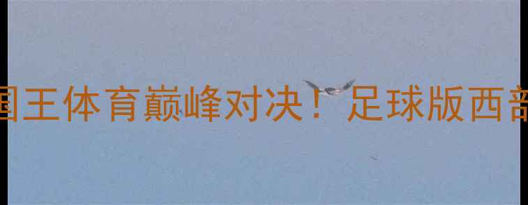 图片 欧冠决赛：湖人联vs国王体育巅峰对决！足球版西部决赛上演史诗级较量