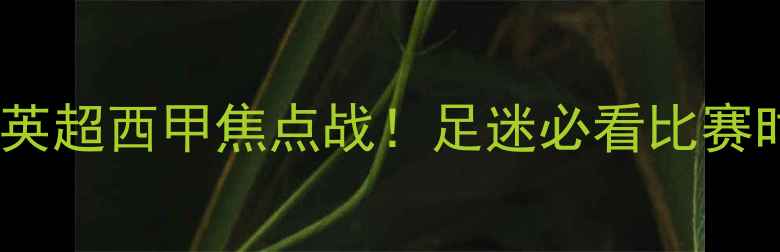 图片 欧洲杯今日赛程+英超西甲焦点战！足迷必看比赛时间表+观赛指南1