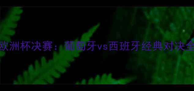 图片 欧洲杯决赛：葡萄牙vs西班牙经典对决全
