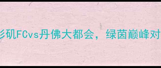 图片 欧洲杯预选赛焦点战：洛杉矶FCvs丹佛大都会，绿茵巅峰对决即将点燃北美足球版图2
