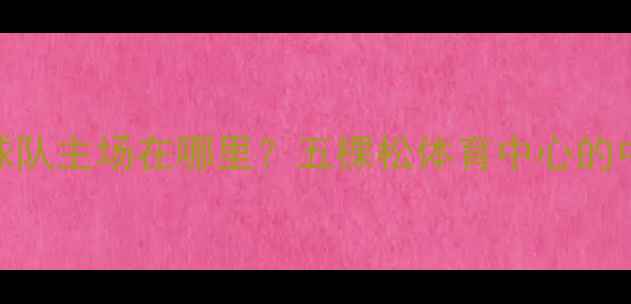 图片 武汉卓尔足球队主场在哪里？五棵松体育中心的中超联赛征程
