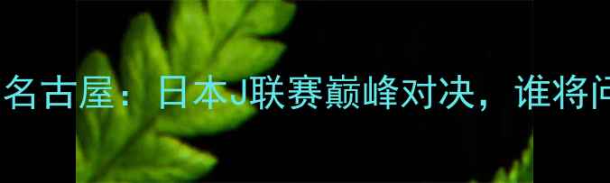 图片 水户蜀葵vs名古屋：日本J联赛巅峰对决，谁将问鼎冠军？1