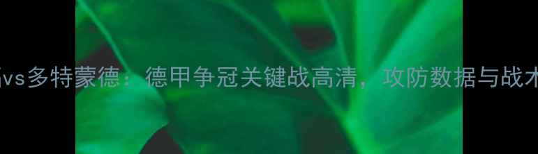 图片 法兰克福vs多特蒙德：德甲争冠关键战高清，攻防数据与战术博弈全2