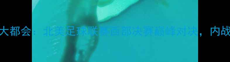 图片 洛杉矶FCvs丹佛大都会：北美足球联赛西部决赛巅峰对决，内战谁能问鼎北美？