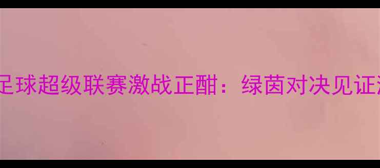 图片 浙江稠州金租杯足球超级联赛激战正酣：绿茵对决见证浙江足球新高度1