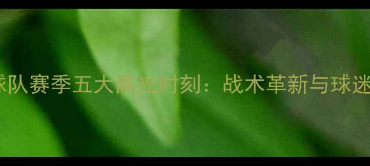 图片 深度八一足球队赛季五大高光时刻：战术革新与球迷文化全记录2