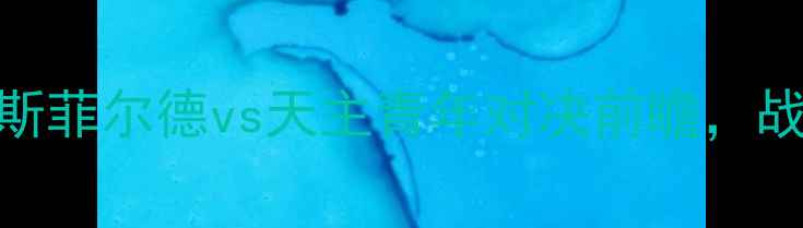 图片 深度澳超焦点战：萨斯菲尔德vs天主青年对决前瞻，战术博弈与保级悬念全