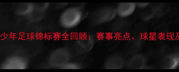 图片 澳大利亚青少年足球锦标赛全回顾：赛事亮点、球星表现及未来展望2
