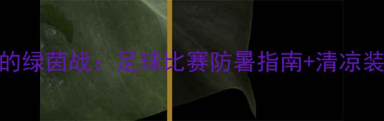 图片 烈日下的绿茵战：足球比赛防暑指南+清凉装备推荐