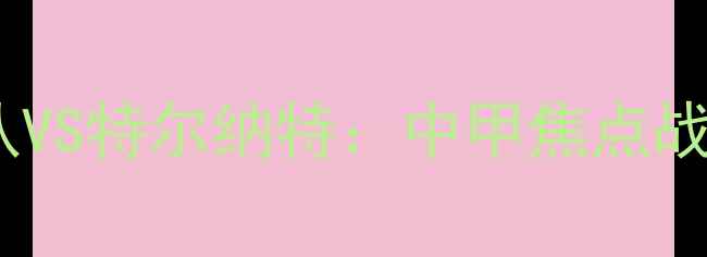图片 热血开战SBV精英队VS特尔纳特：中甲焦点战全记录+战术深度2