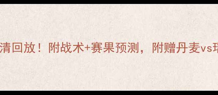 图片 瑞典vs丹麦高清回放！附战术+赛果预测，附赠丹麦vs瑞典完整集锦2