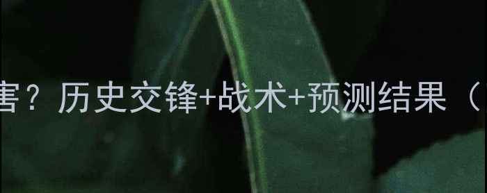 图片 瑞士vs丹麦谁厉害？历史交锋+战术+预测结果（附大数据分析）1