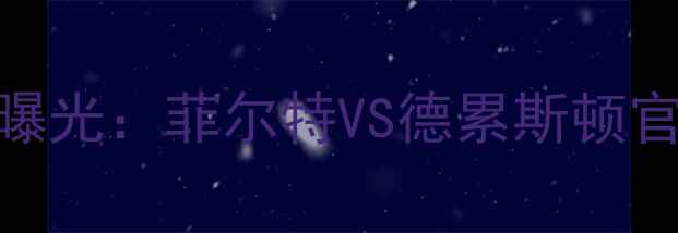 图片 突发！德乙焦点战延期真相曝光：菲尔特VS德累斯顿官方回应+赛程调整影响深度1
