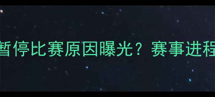 图片 突发！洛杉矶FC暂停比赛原因曝光？赛事进程及未来展望深度
