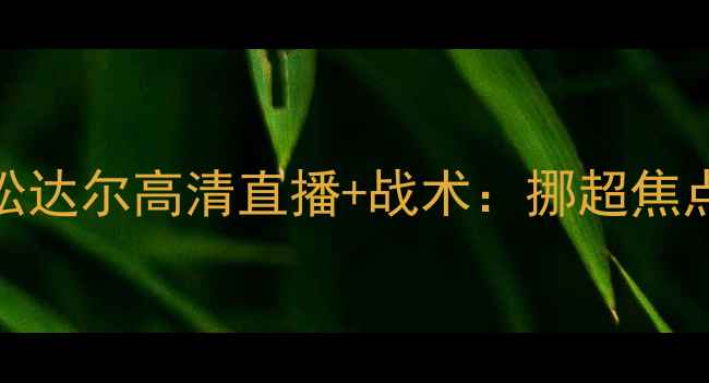 图片 罗森博vs松达尔高清直播+战术：挪超焦点战全攻略
