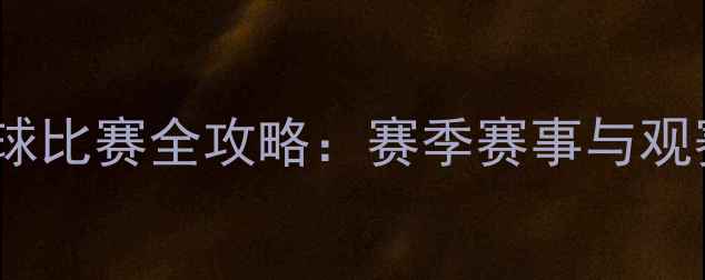 图片 美国足球比赛全攻略：赛季赛事与观赛指南1