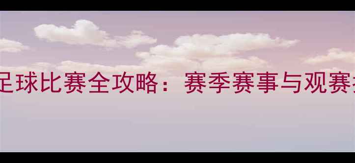图片 美国足球比赛全攻略：赛季赛事与观赛指南2