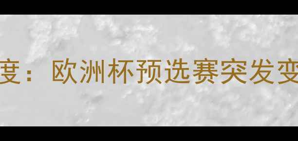 图片 英格兰对冰岛比赛取消事件深度：欧洲杯预选赛突发变故背后的多重因素与行业启示