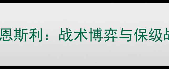 图片 英超桑德兰VS巴恩斯利：战术博弈与保级战关键对决深度2