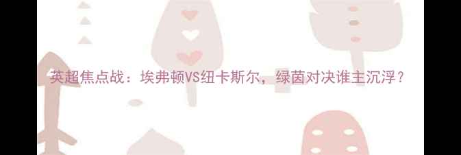 图片 英超焦点战：埃弗顿VS纽卡斯尔，绿茵对决谁主沉浮？