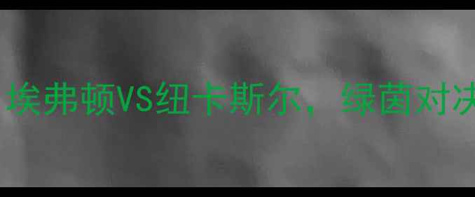 图片 英超焦点战：埃弗顿VS纽卡斯尔，绿茵对决谁主沉浮？2