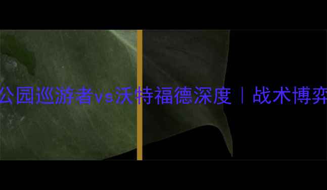图片 英超焦点战：女王公园巡游者vs沃特福德深度｜战术博弈与争冠悬念全盘点
