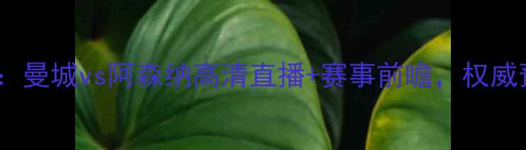 图片 英超焦点战：曼城vs阿森纳高清直播+赛事前瞻，权威预测3-1比分