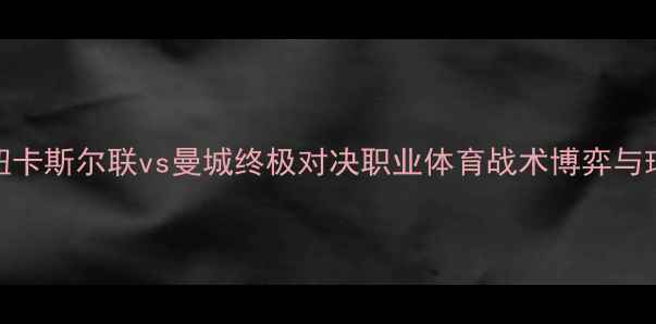 图片 英超赛季回顾：纽卡斯尔联vs曼城终极对决职业体育战术博弈与球星表现深度剖析