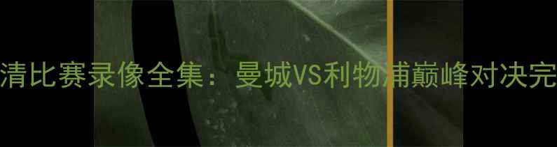图片 英超高清比赛录像全集：曼城VS利物浦巅峰对决完整回放