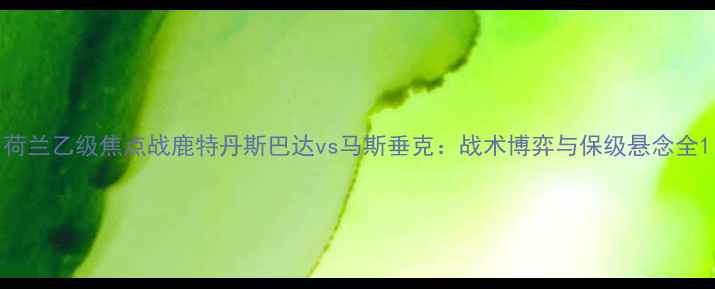 图片 荷兰乙级焦点战鹿特丹斯巴达vs马斯垂克：战术博弈与保级悬念全1