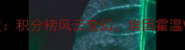 图片 荷甲第20轮深度：积分榜风云变幻，埃因霍温VS阿贾克斯前瞻