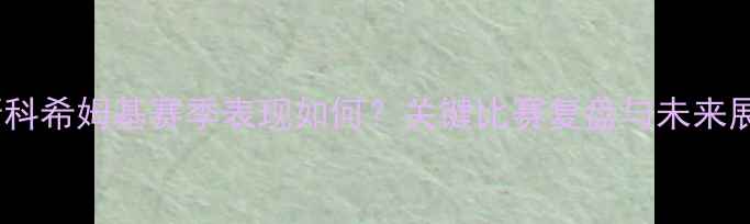 图片 莫斯科希姆基赛季表现如何？关键比赛复盘与未来展望1