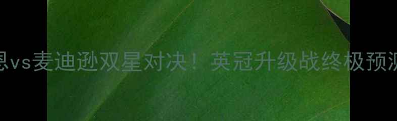 图片 莱切斯特城vs热刺：凯恩vs麦迪逊双星对决！英冠升级战终极预测及战术（附赛前阵容）