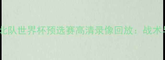 图片 菲律宾队vs中国台北队世界杯预选赛高清录像回放：战术与比赛亮点全记录1