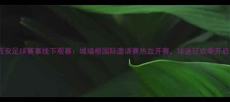 图片 西安足球赛事线下观赛：城墙根国际邀请赛热血开赛，球迷狂欢季开启1