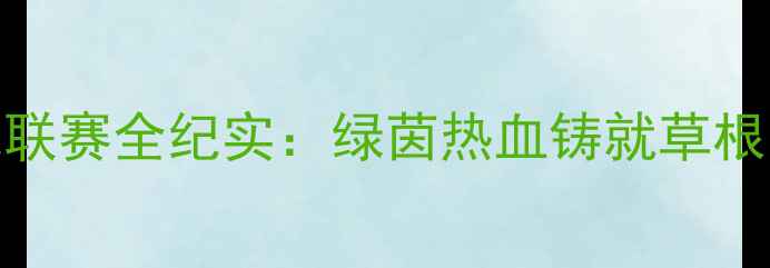 图片 计县足球联赛全纪实：绿茵热血铸就草根足球传奇