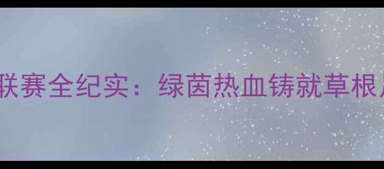 图片 计县足球联赛全纪实：绿茵热血铸就草根足球传奇1