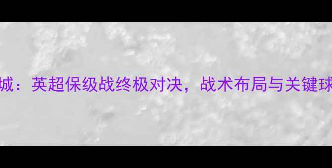 图片 谢菲尔德联VS伯明翰城：英超保级战终极对决，战术布局与关键球员，谁将逆袭保级？