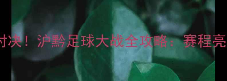 图片 贵州队vs上海上港巅峰对决！沪黔足球大战全攻略：赛程亮点+历史交锋+观赛指南2