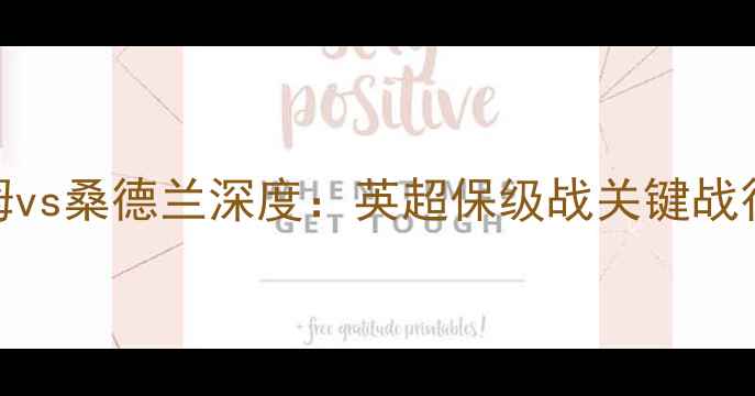 图片 赛事前瞻吉灵汉姆vs桑德兰深度：英超保级战关键战役+战术博弈预测2