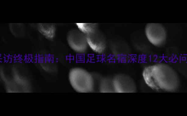 图片 赛后采访终极指南：中国足球名宿深度12大必问问题1
