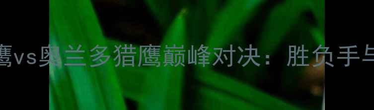 图片 赛季NFL费城老鹰vs奥兰多猎鹰巅峰对决：胜负手与关键球员分析2
