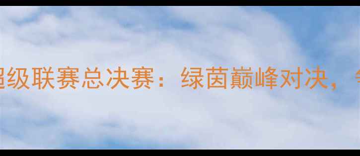 图片 赛季中国足球超级联赛总决赛：绿茵巅峰对决，争冠战火重燃！