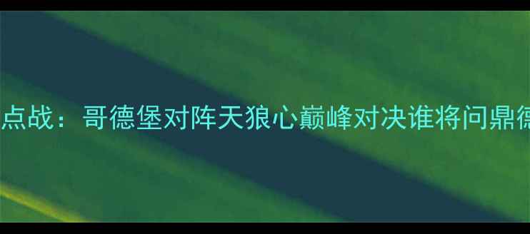 图片 赛季德甲焦点战：哥德堡对阵天狼心巅峰对决谁将问鼎德甲王座？1