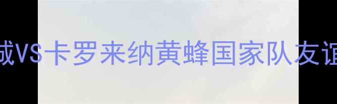 图片 赛季英超焦点战：曼城VS卡罗来纳黄蜂国家队友谊赛高清录像+战术全2