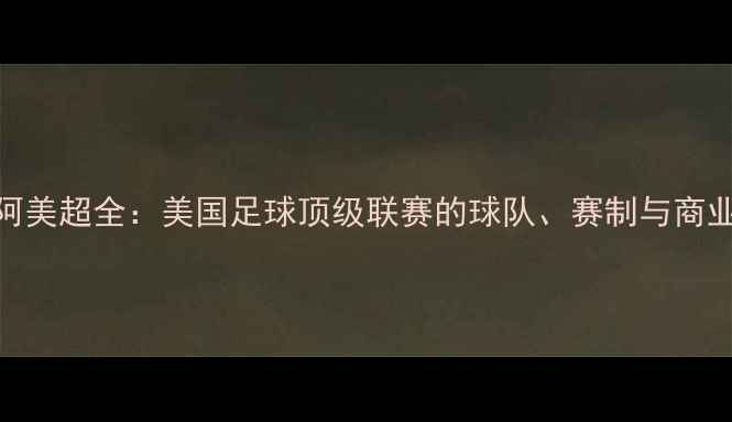 图片 赛季阿美超全：美国足球顶级联赛的球队、赛制与商业价值