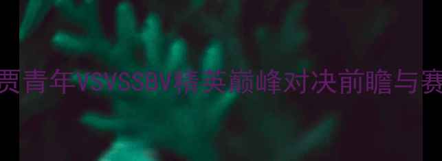 图片 赛季阿贾青年VSVSSBV精英巅峰对决前瞻与赛事深度